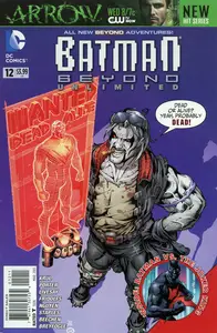 Batman Beyond Unlimited 012 (2013) (c2c) (FB-DCP