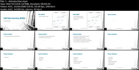 SAP Data Services (BODS) Masterclass : Learn From Scratch