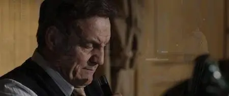 La musica del silenzio (2017)