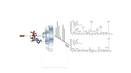 Mass Spectrometry (Ms) Technique : The Must Have Basics