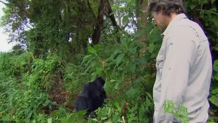 ITV - John Bishop’s Gorilla Adventure (2015)