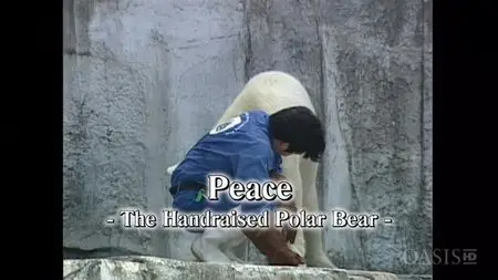 NHK - Peace - The Handraised Polar Bear (2005)