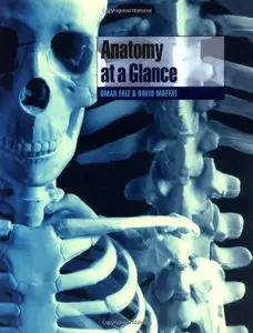 Anatomy at a Glance by David Moffat