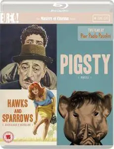 Pigsty (1969) Porcile
