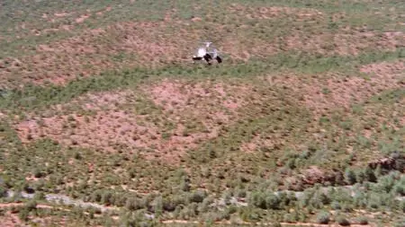 Hard Hunted (1993)