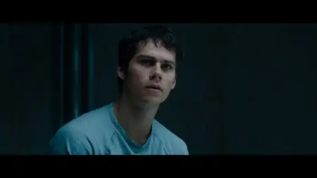 Maze Runner: The Scorch Trials / Бегущий в лабиринте: Испытание огнем (2015)