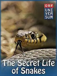 ORF - The Secret Life of Snakes (2016)