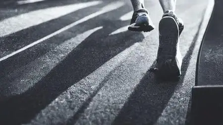 Discipline Mastery: The Art Of Staying Focused & Productive