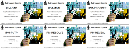 Petroleum Experts IPM 11.0