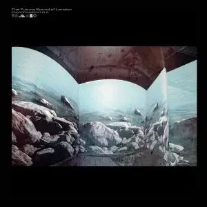 The Future Sound of London - Environments 1-4, 6-6.5 (2008-2016)