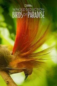 Winged Seduction: Birds of Paradise (2012)