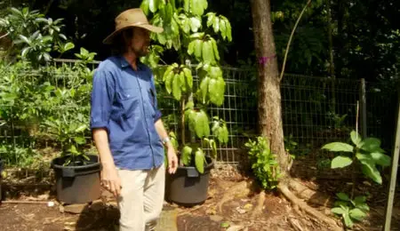 Geoff Lawton's - Urban Permaculture