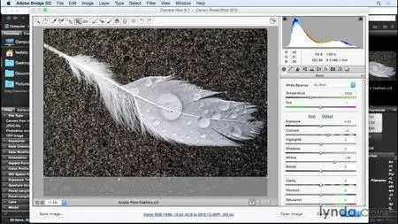 Lynda - Color Correction in Adobe Camera Raw [repost]