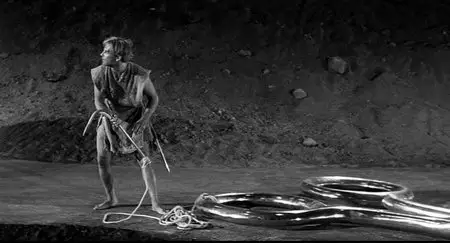 The Incredible Shrinking Man (1957)