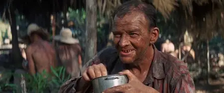 Papillon (1973)