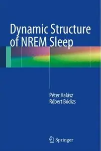 Dynamic Structure of NREM Sleep [Repost]