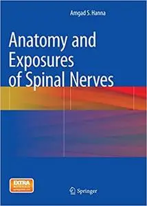 Anatomy and Exposures of Spinal Nerves (Repost)