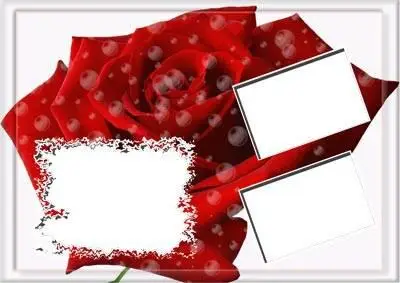 Rose Frame for Photoshop