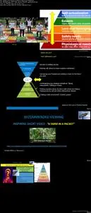 Empower Self through Awareness. Live Life Purposefully-SETSA