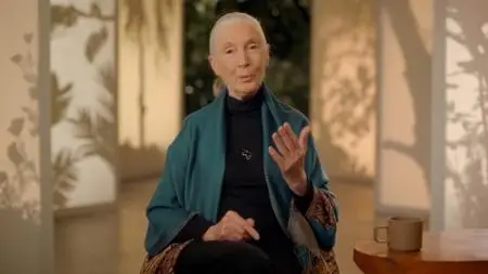 MasterClass - Dr. Jane Goodall Teaches Conservation (2017)