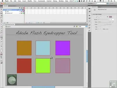 Learning Adobe Flash CS5 Video Training