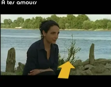 Cour(t)s de Cinema (2005)