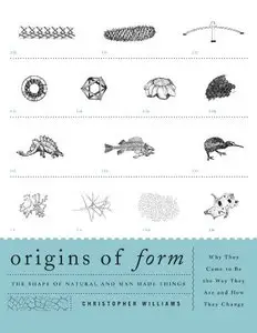 Origins of Form: The Shape of Natural and Man-made Things 
