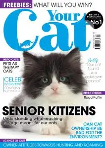 Your Cat - March 2021