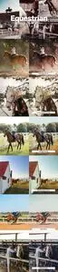 20 Equestrian Lightroom Presets and LUTs