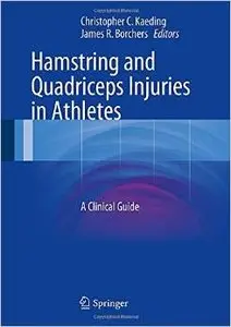 Hamstring and Quadriceps Injuries in Athletes: A Clinical Guide