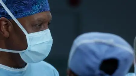 Grey's Anatomy S13E08