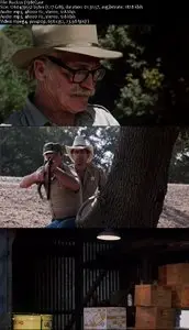 Ruckus (1980) 