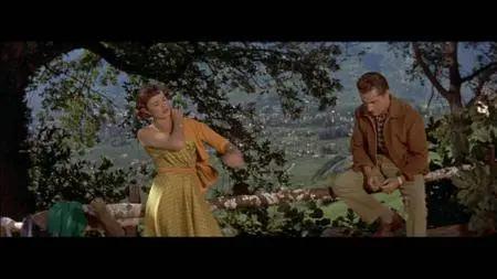 Three Coins in the Fountain (1954)