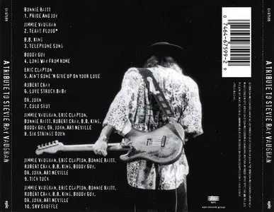VA - A Tribute To Stevie Ray Vaughan (1996)