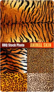 UHQ Stock Photo - Animal Skin
