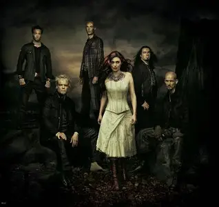 Within Temptation 16 clips (DVD)