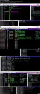 Malware backdoor and Buffer Overflow Penetration Testing