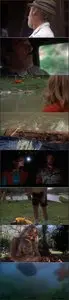 Piranha (1978)