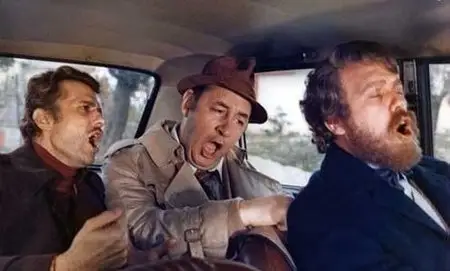Mes chers amis (1975)
