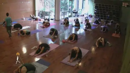 Yoga Live Online with Travis Eliot
