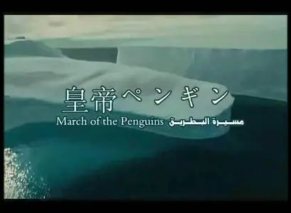 March of the Penguins 皇帝ペンギン 