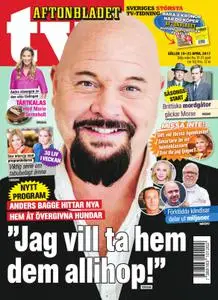 Aftonbladet TV – 17 april 2017