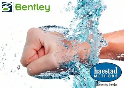 Bentley HAMMER V8i (SELECTSeries 4) 08.11.04.50