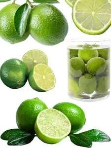 Fotstok: citrus fruits - limes