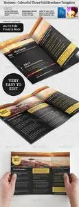 GraphicRiver Horizon Tri Fold Brochure Template