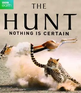 BBC - The Hunt (2015)