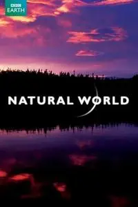 Natural World S38E08