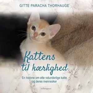 «Kattens til kærlighed - En historie om otte vidunderlige katte og deres mennesker» by Gitte Paracha Thorhauge