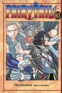 Fairy Tail v35 (2014)