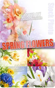 Spring Flowers #4 - UHQ Stock Photo